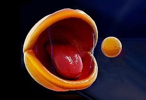 Pac-Man 3D RTX oyun kapağı