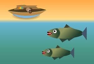 Fishshooter oyun kapağı
