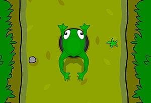 Frog Race oyun kapağı