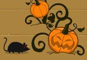 Pumpkin Patch Blast oyun kapağı