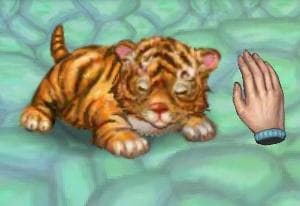 My Tiger oyun kapağı