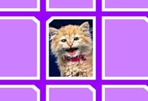Meowmory oyun kapağı