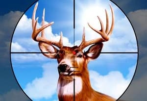Deer Hunter Training Camp oyun kapağı