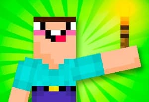 Noob Torch Flip 2D oyun kapağı