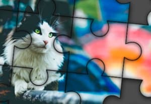 Jigsaw Puzzle oyun kapağı