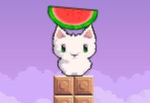 Cat Cat Watermelon oyun kapağı