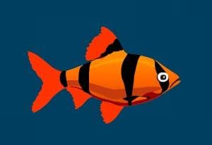 Franky the Fish 2 oyun kapağı