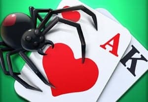 Spider Solitaire 2 Suits oyun kapağı
