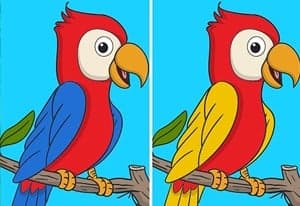 Spot the difference 2 oyun kapağı
