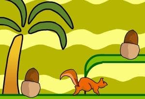 Squirrel Squash oyun kapağı