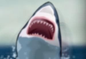 New York Shark oyun kapağı