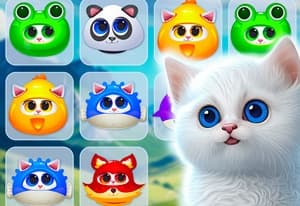 Kitty Jewel Quest oyun kapağı