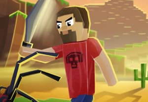 World Craft oyun kapağı