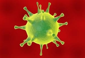 Fight Virus oyun kapağı