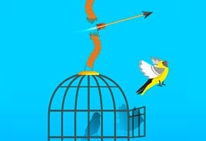 Free Birds oyun kapağı